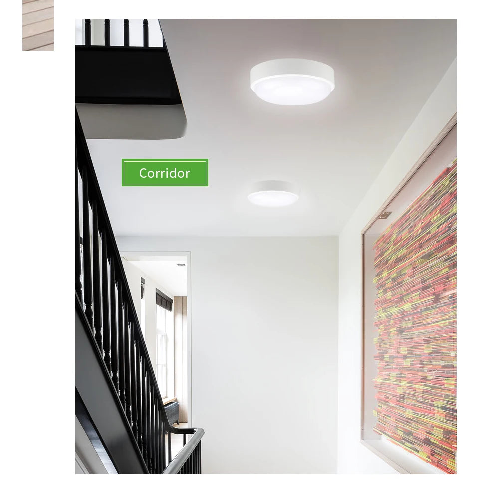 lampe led moderne blanc mat adhésive extérieur intérieur 16w 20w oval round