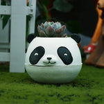 cache pot panda éléphant raton laveur blanc noir mignon cartoon succulente maison voyage