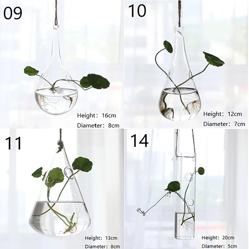 vases suspendus verre transparent modernes plante verte minimaliste fil coton