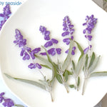 décoration murale branches violette feuilles naturelles intérieur rustique 12 pièces