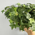 plantes artificielles vertes feuilles pentagonales moderne intérieur branche naturelle aspect réel
