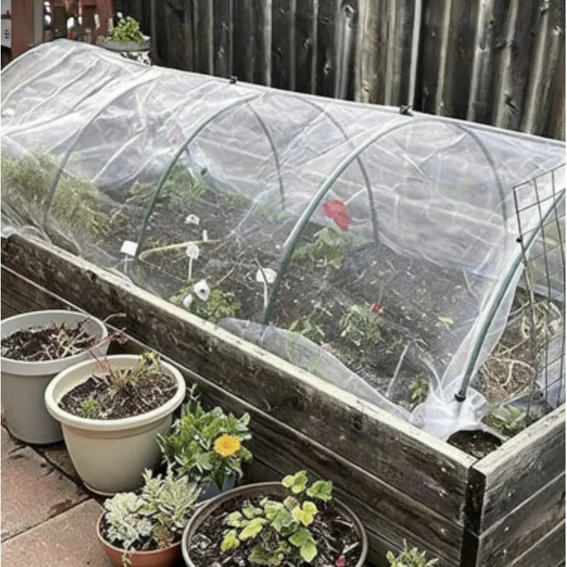 serre jardin transparente structure métallique cadre bois clips moderne fonctionnelle plastique