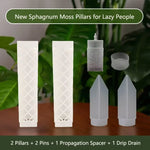 support plante transparent moderne adhésif bouchon remplissage base semi circulaire diamant grille blanc