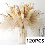 bouquet fleurs séchées pampas naturel beige marron blanc décoration maison anniversaire mariage rustic