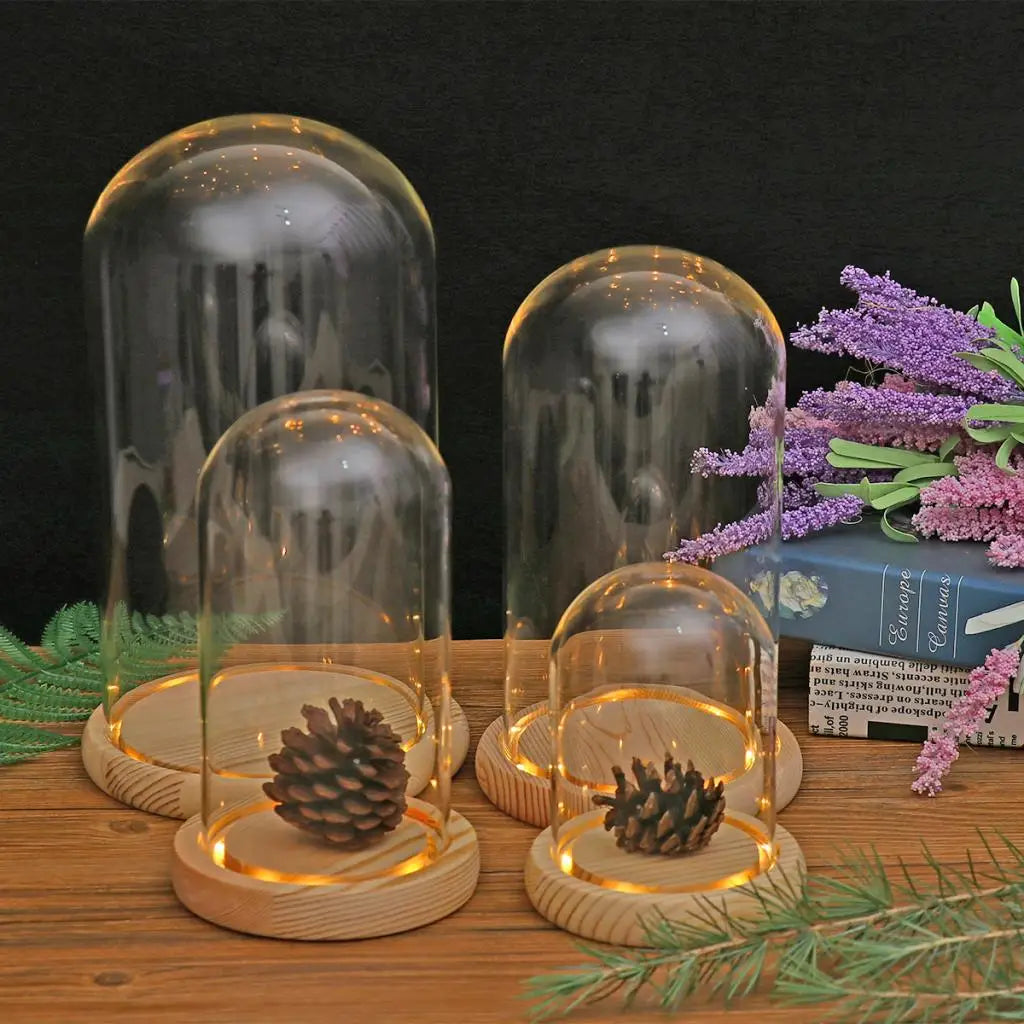 cloche verre transparent base bois cloche led decoration intérieure terrarium vase paysagiste