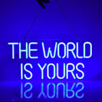 enseigne lumineuse néon carte monde THE WORLD IS YOURS bleu rose blanc fixations intérieur