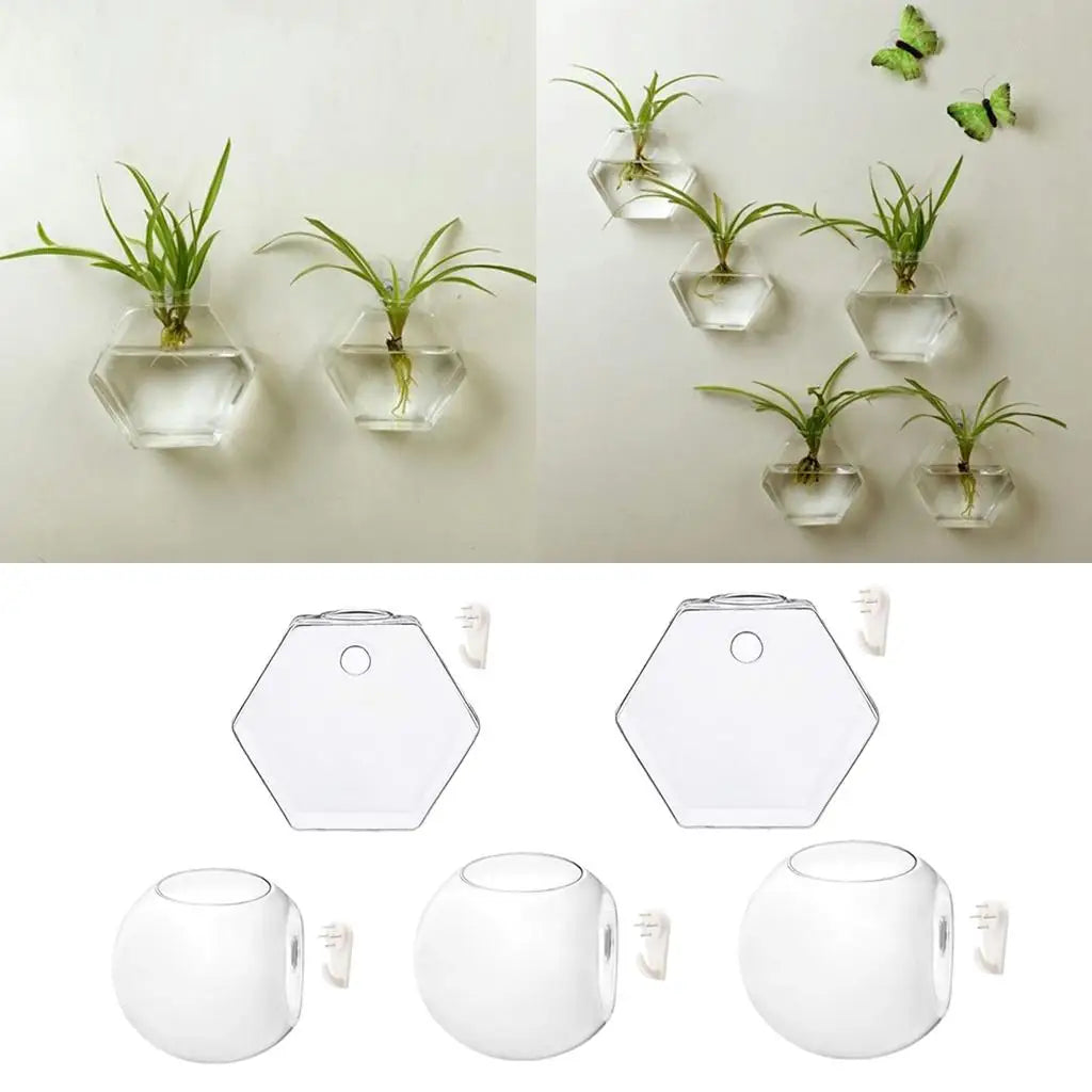 vases suspendus verre transparent modernes clips adhésifs rond hexagonal