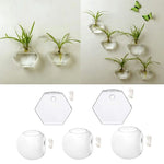 vases suspendus verre transparent modernes clips adhésifs rond hexagonal