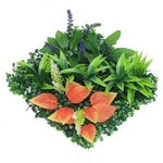 plantes artificielles feuilles vert rouge violet blanc modernes naturelles 25cm 25cm