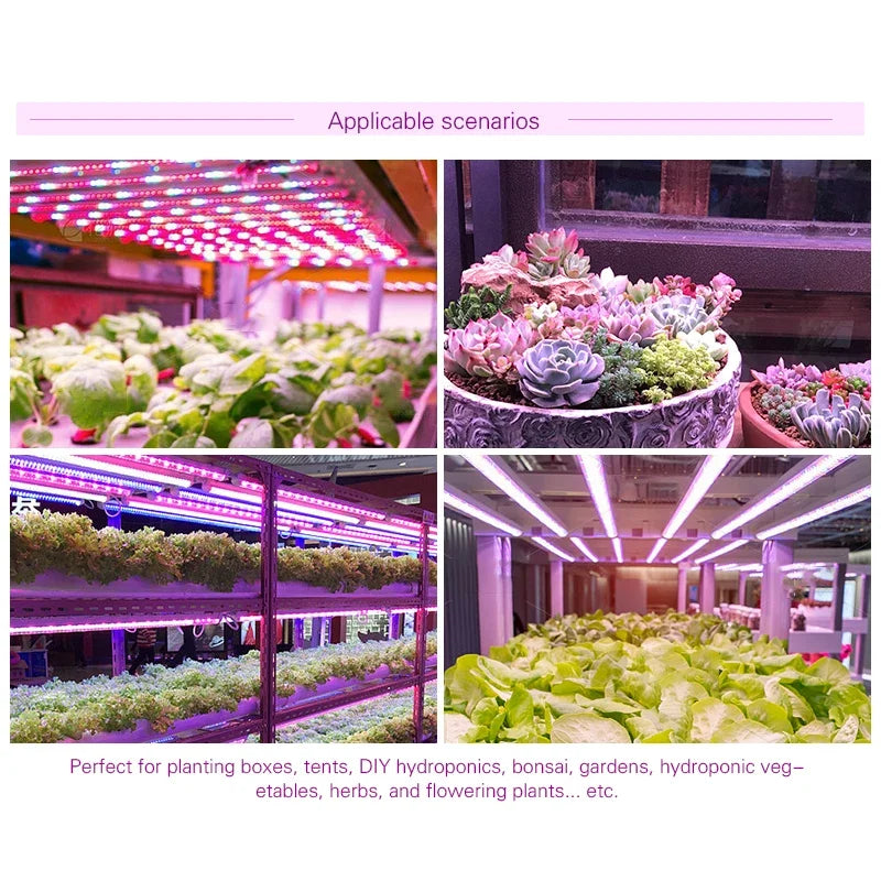 lampe led culture végétale 5v 30cm blanc rose violet bleu moderne télécommande câble usb
