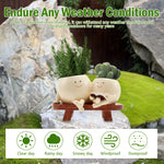cache pot résine visage souriant plante verte intérieur extérieur moderne herbe cactus décoration maison