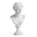 buste sculpté résine blanc classique agrippa aphrodite ares arias brutus david hermes moliere stgeorge