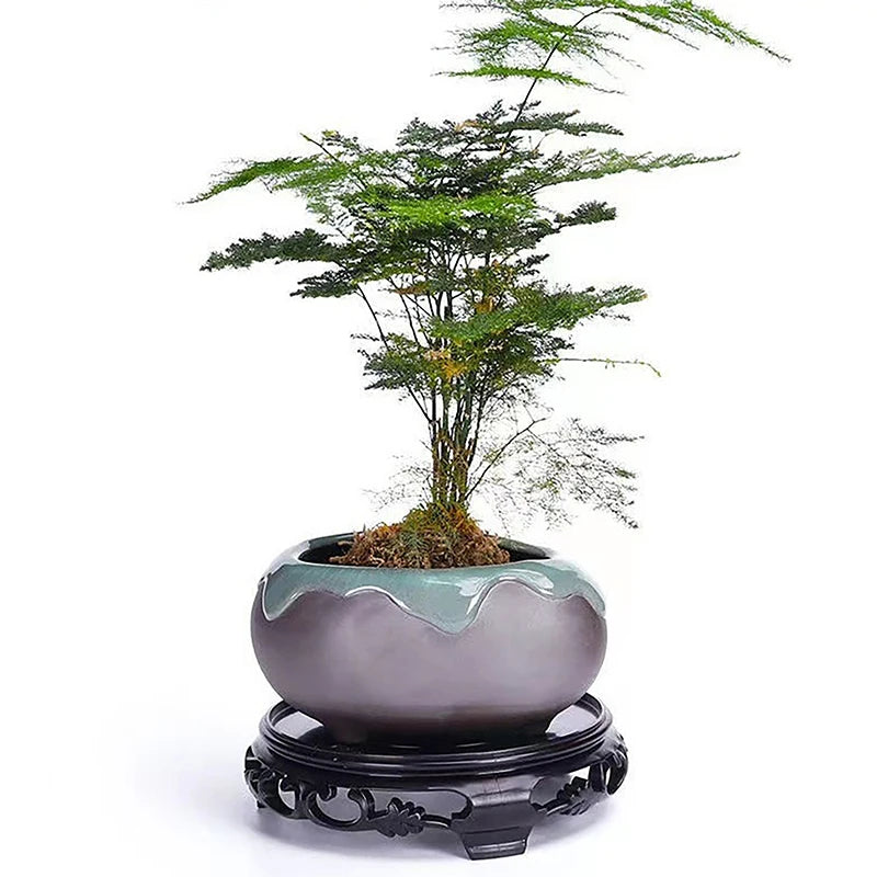 pots fleurs plastique brun vert orange motifs têtes lions plantes bonsaï orchidées décorations asiatiques