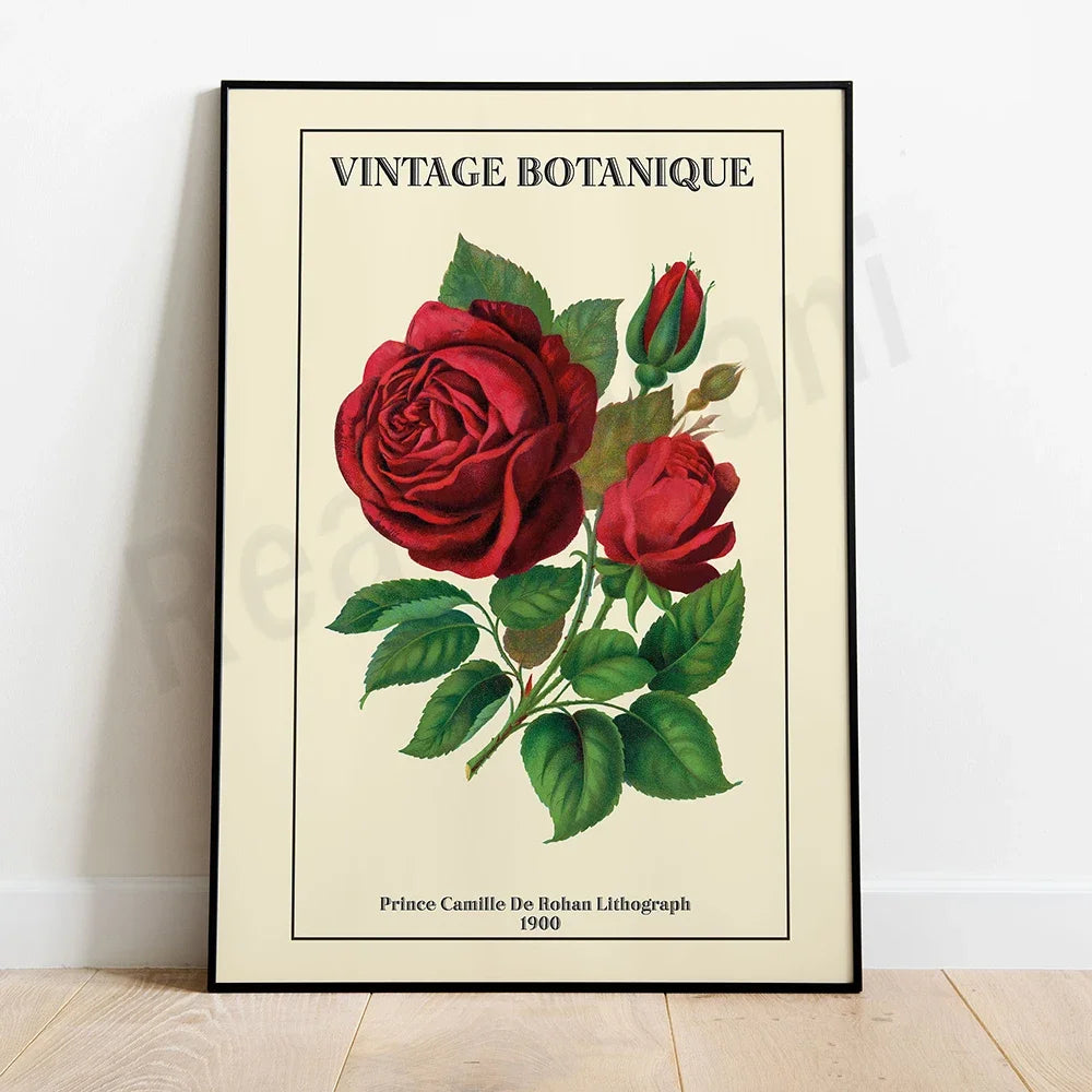 Affiche botanique vintage avec de magnifiques roses rouges.