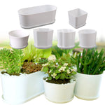 pot fleurs blanc moderne plateau succulentes bonsaï plastique