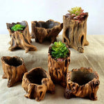 Cache plante forme racine imitation bois marron clair brun foncé texture naturelle rustique plante