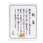 pendentif tortue dorée motif cuir rouge orné feng shui chance richesse décoration intérieure souvenir