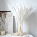 décoration maison plante séchée pampa moelleuse naturelle vase dried flowers beige rustiqueintérieur