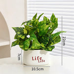 plantes artificielles vertes moderne pots blancs décoration intérieure feuilles variées minimaliste