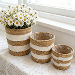 panier bohème cylindrique texture fibreuse strié beige blanc intérieur transparent plantes fleurs