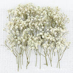 fleurs séchées bouquets multicolore violet orange rouge naturel rustique décoration maison artisanat diysortie