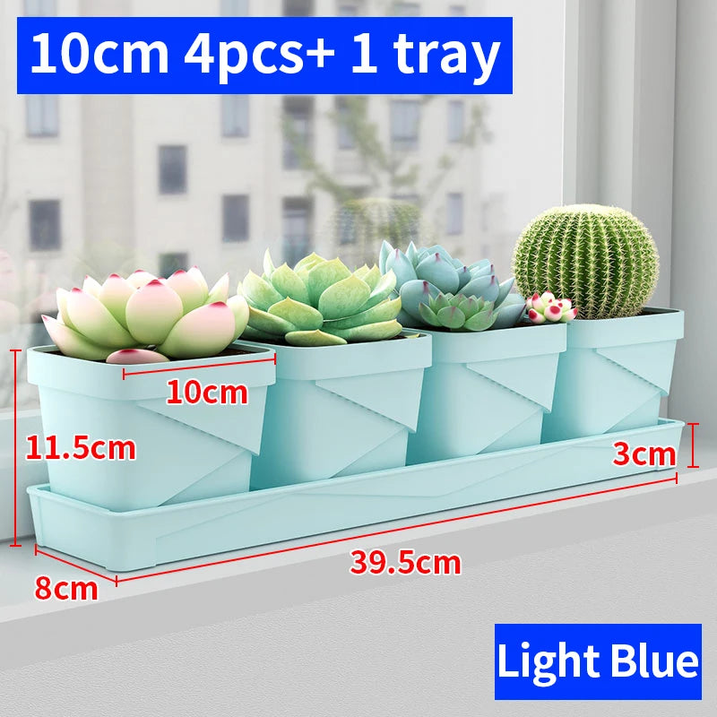petit pot fleurs blanc plastique moderne cactus succulentes plateau intégré