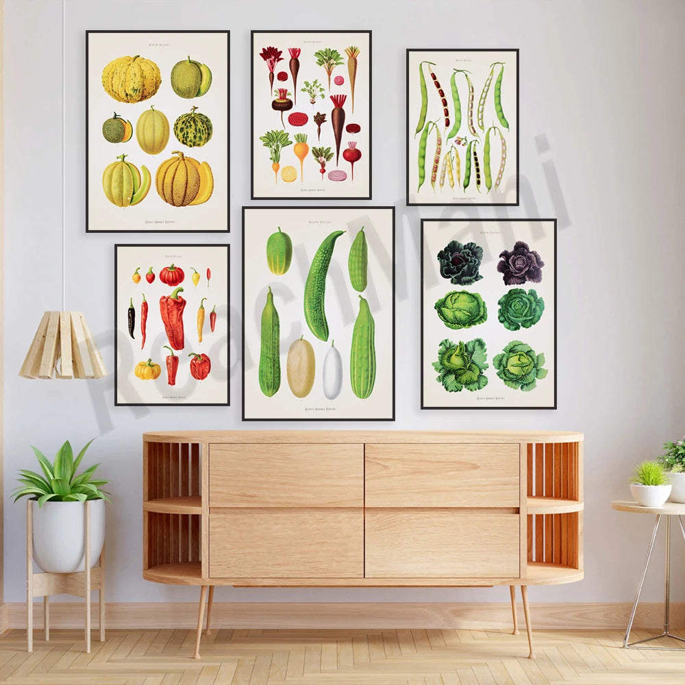 Affiches botaniques de différents fruits et légumes, dont des courges, des poivrons, des brocolis et des laitues, exposées sur un meuble en bois dans une pièce avec un parquet et des plantes.
