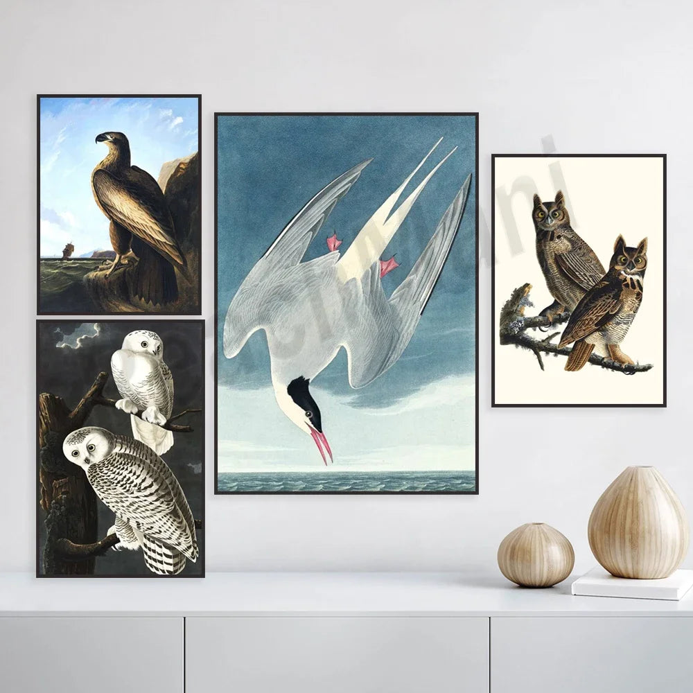 Une collection de belles illustrations d'oiseaux, notamment un fier rapace, une élégante mouette en plein vol et deux magnifiques hiboux perchés sur une branche.