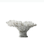 sculpture décorative corail blanc noir texture naturelle décorative sculptural base pierre noire moderne