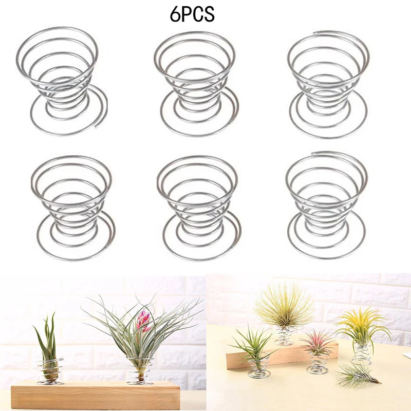 supports plantes aériennes spirale métallique transparents tillandsia fleurs séchées moderne argenté