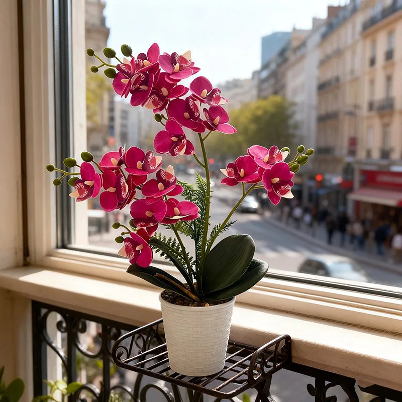 orchidées artificielles rose blanc violet pot moderne intérieur décoration fleurs feuilles