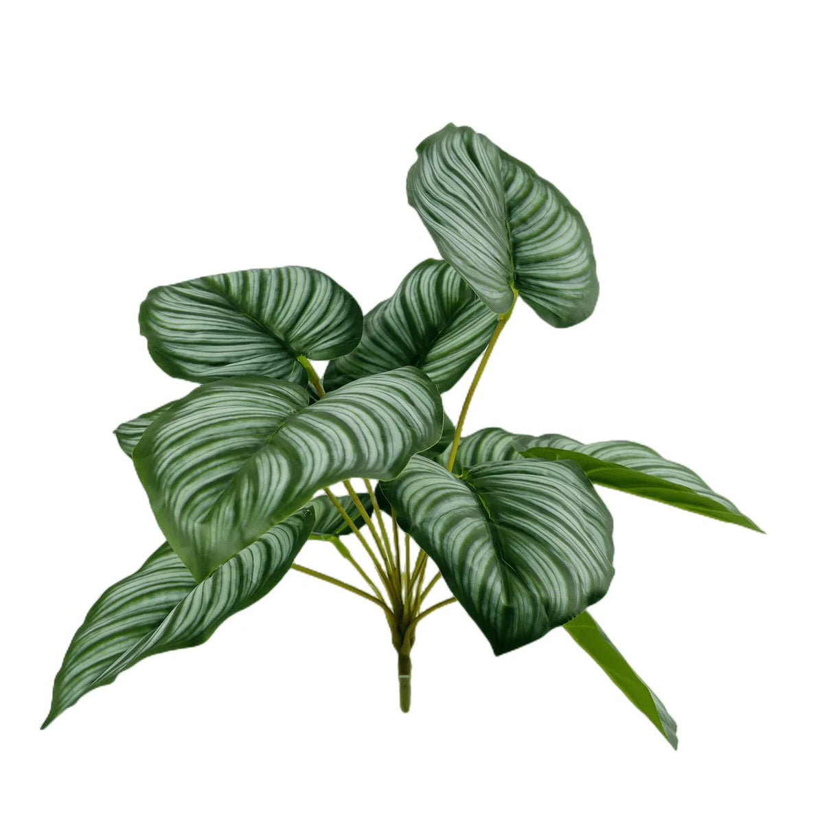 plante artificielle décorative feuilles vertes blanches rouges salon maison moderne naturel