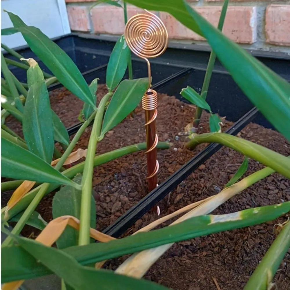 tuteurs spirale cuivre 32cm supports jardin flexibles rustiques fixations enfoncées plantes électroculțivées