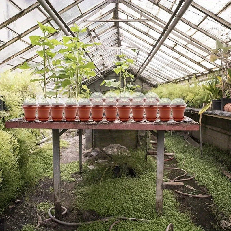 pots fleurs mini serre brun orange transparent couvercle humidité pelle réception base plantaions intérieurextérieur