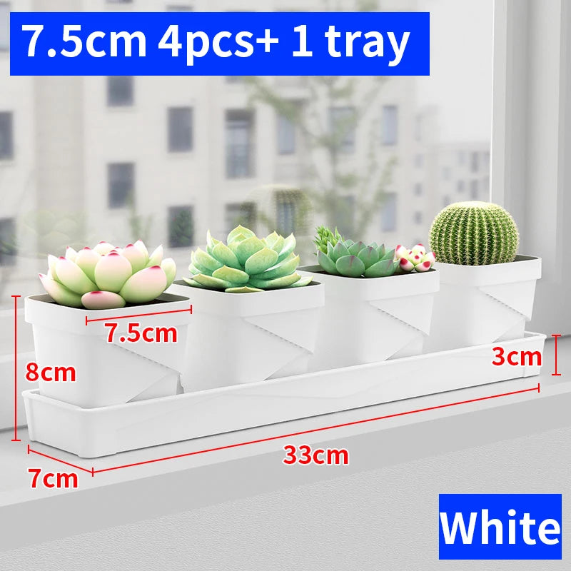 petit pot fleurs blanc plastique moderne cactus succulentes plateau intégré