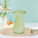 vase transparent moderne plante graine avocat culture hydroponique décoration maison minimaliste