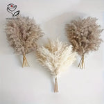 bouquet pampas séchées naturelles décoration maison anniversaire baby shower graduation rustic styleintérieur festive