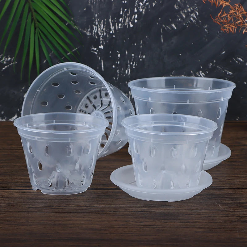 pots semis transparents perforés pratique plateau fleur verte plastique moderne