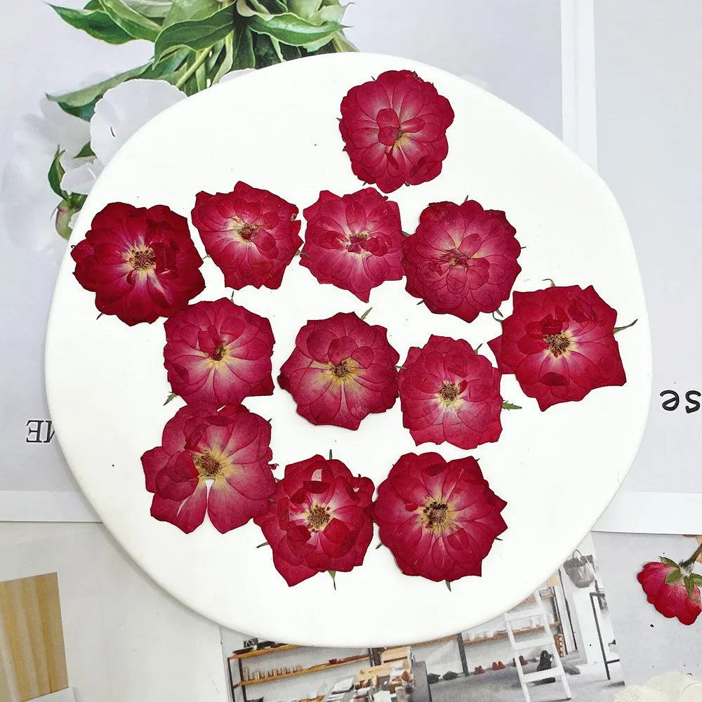 décoration intérieure fleurs séchées naturelles rouge rose jaune anniversaire mariage baby shower