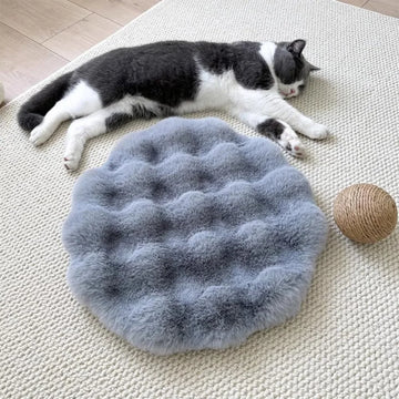 coussin chat gris clair doux peluche lavable moderne 30cm beige rose pale
