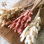 bouquet fleurs séchées herbe rabbit tail décoration maison mariage anniversaire boho naturelle rustique