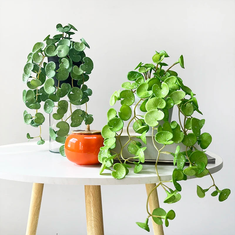 plante artificielle verte feuilles rondes pot noir décoration maison jardin intérieur moderne