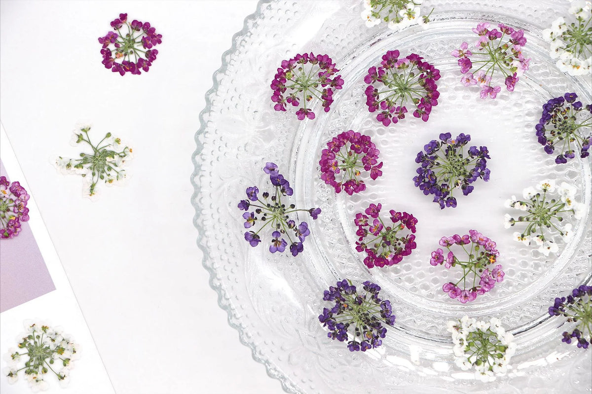 bouquet fleurs séchées violettes blanches naturel artisanal décoration intérieure événement personnelle anniversaire baby shower
