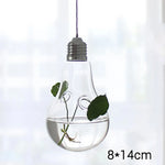 vase suspendu verre transparent moderne plante hydroponique décoration intérieure minimaliste fixations cordelette portable terrarium
