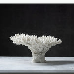 sculpture décorative corail blanc noir texture naturelle décorative sculptural base pierre noire moderne
