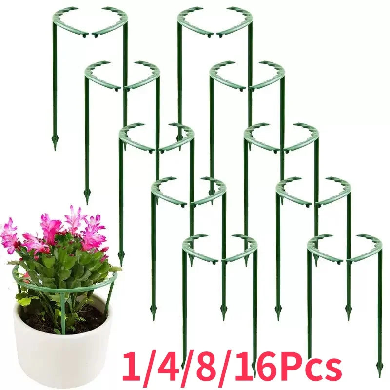 Support plante vert clips moderne 14cm 24cm 1pc 4pc 8pc 16pc