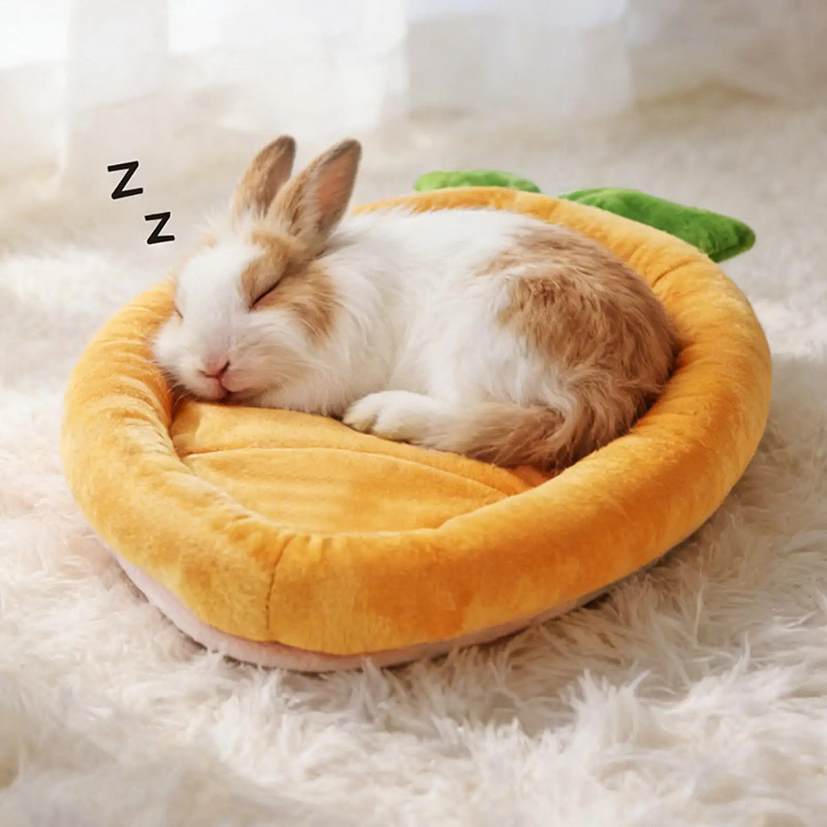 tapis doux orange imitation velours carotte forme animaux compagnie cage lapin blancintérieur maison mignon
