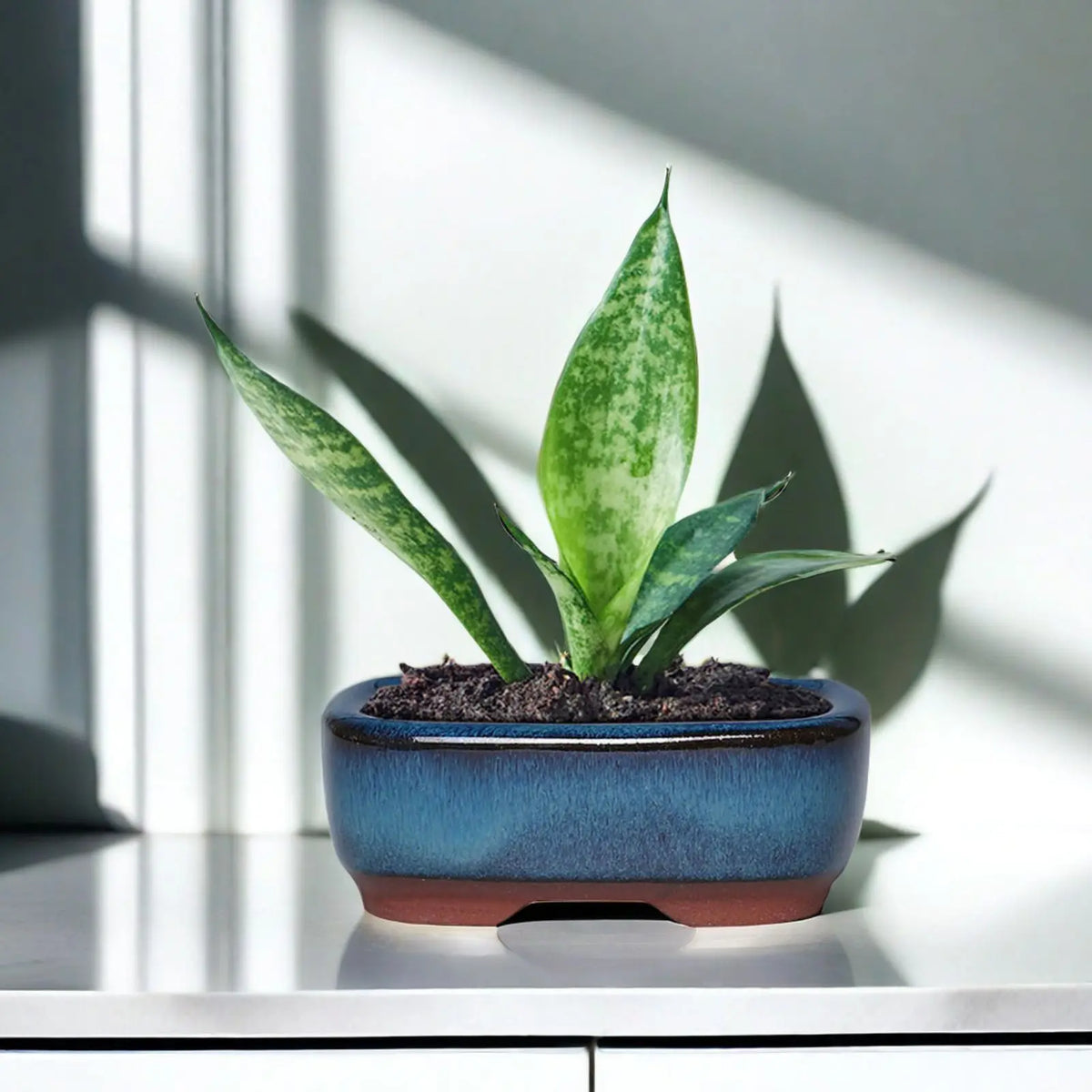 pots fleurs céramique bleu marron rouge émaillé craquelure japonais intérieur extérieur