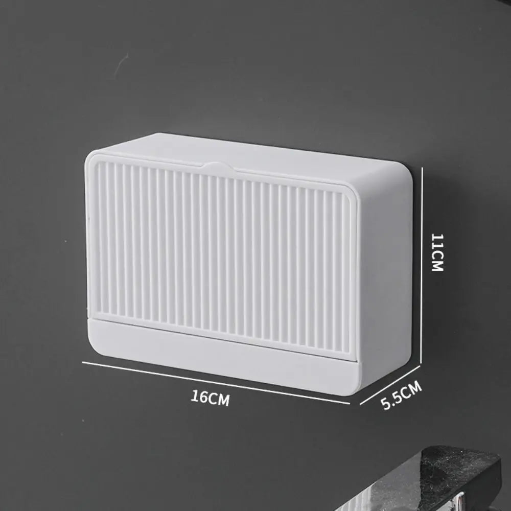 boîte savon moderne blanche rayée adhésive petite plante artificielle