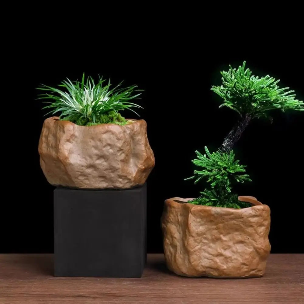 pots plantes succulentes céramique forme pierre drainage moderne naturel opaque marron rocheux